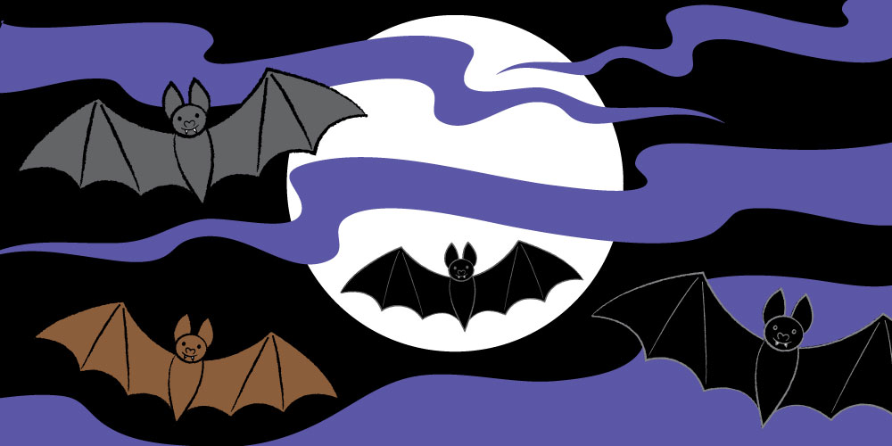 Draw a Vampire Bat!
