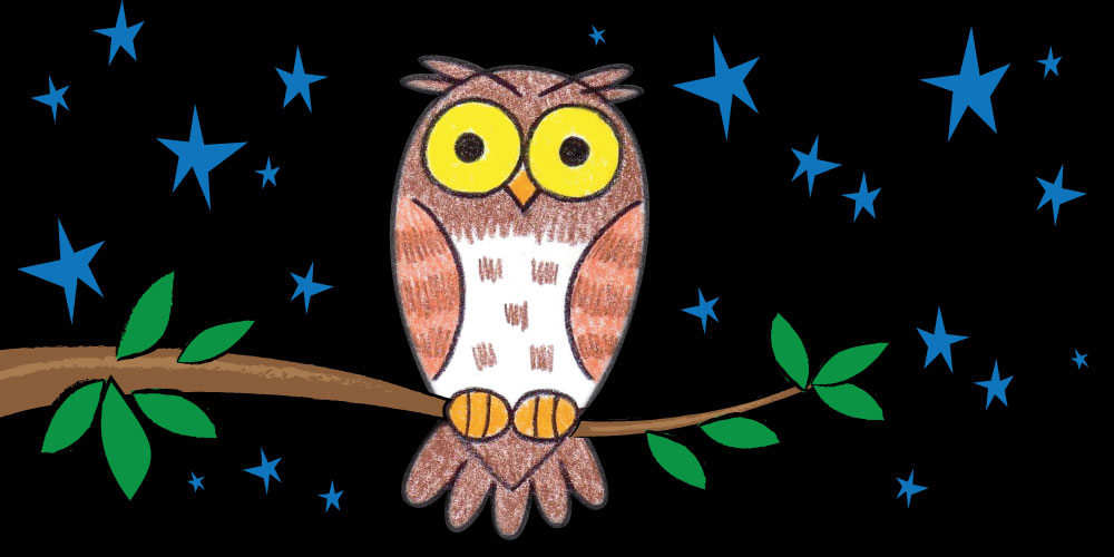 cute owl drawn from easy steps in night sky with stars