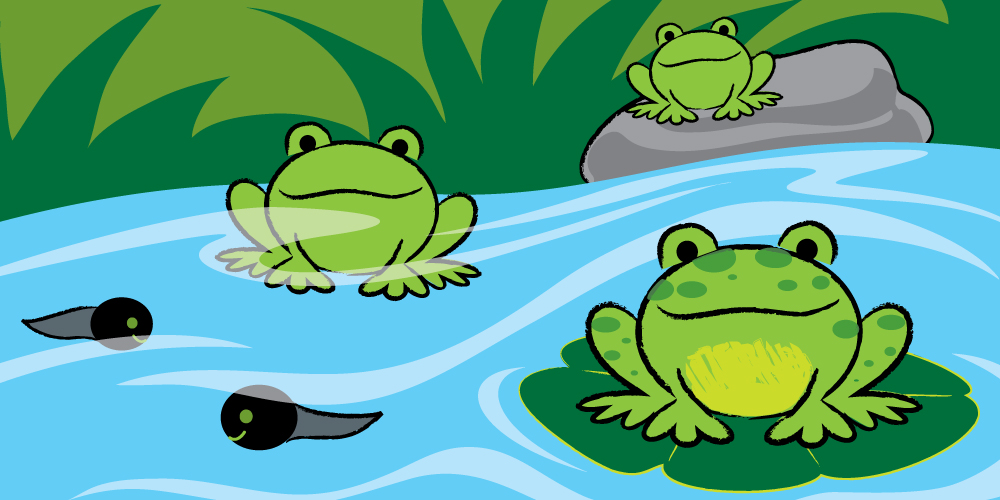 It’s Easy to Draw a Frog!