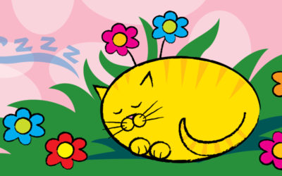 Draw a Cute Sleeping Kitty!